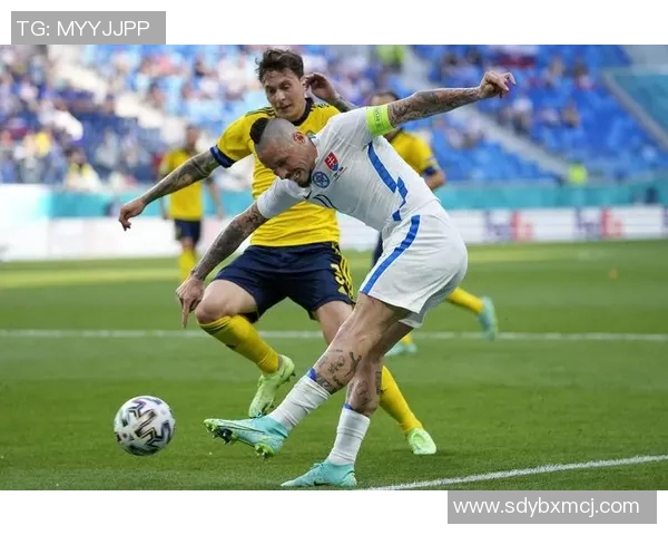 欧洲杯:瑞典憾平斯洛伐克——胜利之路的起伏与激情 欧洲杯:瑞典憾平斯洛伐克——胜利之路的起伏与激情